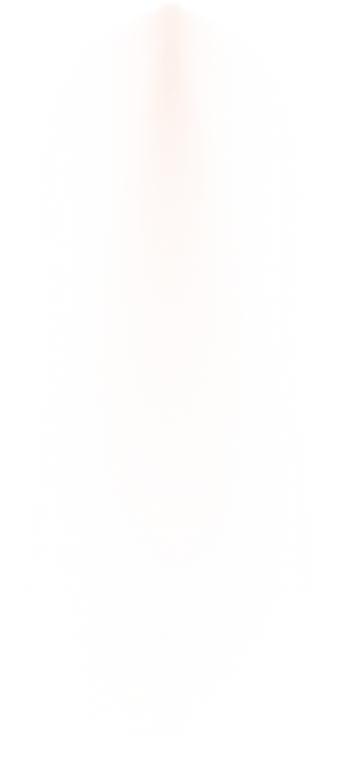 Luz Spotlight Illustration