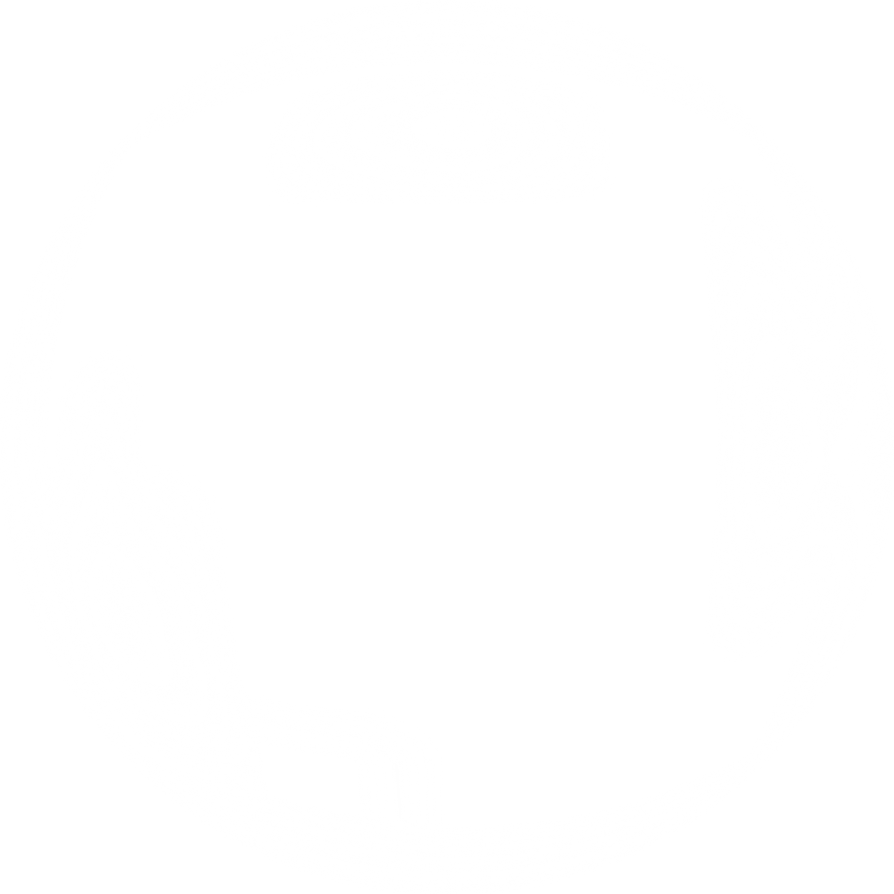 bubble transparent, soap bubbles, bubbly, sponge